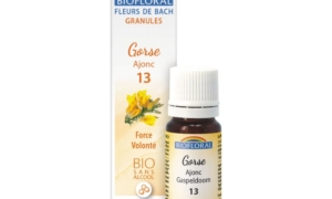 Gorse, Ajonc en granules Bio sans alcool