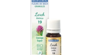 Larch, Mélèze en granules Bio sans alcool