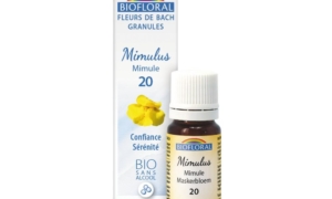 Mimulus, Mimule en granules Bio sans alcool