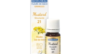 Mustard, Moutarde en granules Bio sans alcool