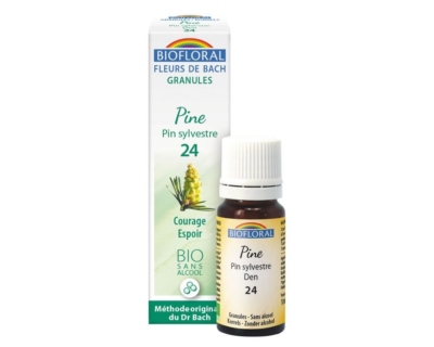 Pine, Pin sylvestre en granules Bio sans alcool