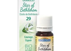 Star of Bethlehem, Etoile de Bethléem en granules Bio sans alcool