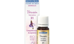 Vervain, Verveine en granules Bio sans alcool