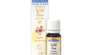 Wild Rose, Eglantier en granules Bio sans alcool