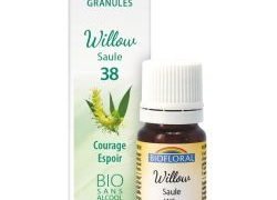 Willow, Saule en granules Bio sans alcool